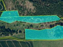 Prodej lesa, Bělá, 17628 m2