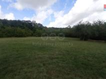 Prodej louky, Jenčice, 12373 m2