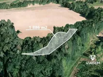 Prodej lesa, Jablonná, 1886 m2