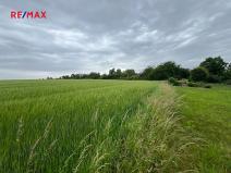Prodej pole, Krupá, 18159 m2
