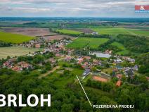 Prodej pozemku pro bydlení, Brloh, 4508 m2