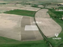 Prodej podílu pole, Čachovice, 5890 m2