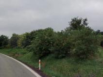 Prodej zahrady, Kojetín, 1455 m2