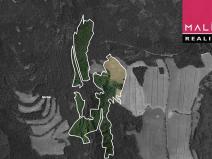 Prodej louky, Stráž nad Ohří, 308543 m2