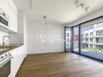 Pronájem bytu 2+kk, Praha - Holešovice, U průhonu, 48 m2