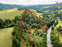 Prodej lesa, Peřimov, 36610 m2