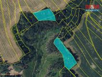 Prodej lesa, Nýrov, 11459 m2