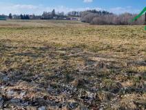 Prodej pole, Halže, 192062 m2
