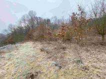 Prodej pozemku, Ryjice, 3310 m2