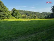 Prodej louky, Kořenov - Rejdice, 7880 m2