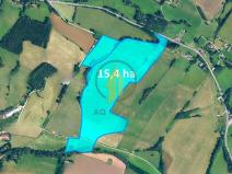 Prodej pole, Horní Olešnice, 153952 m2