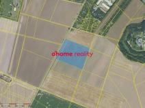 Prodej pole, Křelov-Břuchotín, 31871 m2