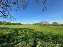 Prodej pozemku pro bydlení, Břasy, 6448 m2