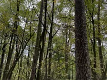 Prodej podílu pozemku, Plaňany, 23569 m2