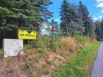 Prodej pozemku pro bydlení, Loučná nad Desnou, 1123 m2