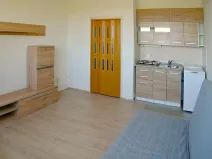 Pronájem bytu 1+kk, Brno, Halasovo náměstí, 22 m2