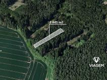 Prodej podílu lesa, Děkanovice, 948 m2