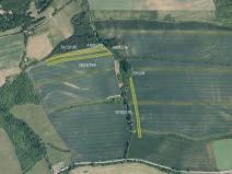 Prodej pole, Boršice, 7194 m2