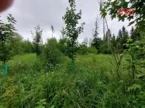 Prodej lesa, Popelín, 4409 m2