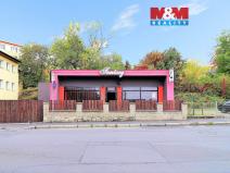 Pronájem obchodního prostoru, Cheb, Havlíčkova, 170 m2