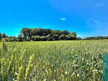 Prodej pozemku pro bydlení, Chropyně, 1061 m2