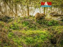 Prodej pozemku, Lštění, 2605 m2