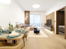 Pronájem bytu 2+kk, Brno, Leitnerova, 54 m2