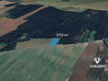 Prodej pole, Velký Borek, 3713 m2