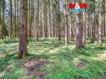 Prodej lesa, Močerady - Nové Dvory, 6098 m2