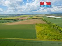 Prodej pole, Šumice, 37901 m2