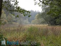 Prodej pole, Kladruby, 42411 m2