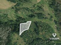 Prodej lesa, Obora, 2560 m2