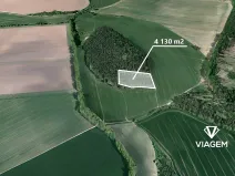 Prodej podílu lesa, Seloutky, 1150 m2