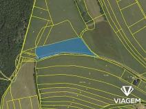 Prodej podílu pole, Velenov, 1994 m2