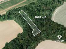 Prodej lesa, Chyňava, 3078 m2