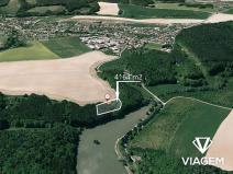 Prodej lesa, Hvozdná, 4164 m2