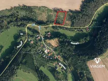 Prodej lesa, Nové Hrady, 3866 m2