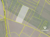 Prodej podílu pole, Jíkev, 5355 m2