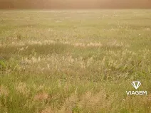 Prodej pole, Blatno, 7300 m2