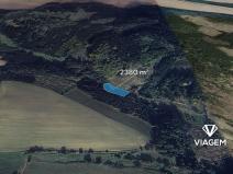 Prodej pole, Zbizuby, 2380 m2
