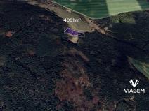 Prodej lesa, Březina, 4091 m2