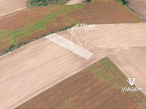 Prodej lesa, Bernartice nad Odrou, 2271 m2