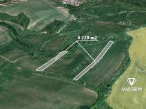 Prodej podílu pole, Zdounky, 822 m2