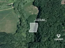Prodej podílu lesa, Žlutava, 2234 m2