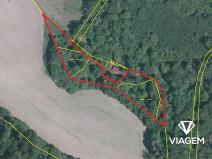 Prodej podílu lesa, Vráž, 3564 m2