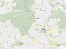 Dražba lesa, Milavče, 1643 m2