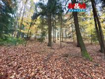 Prodej lesa, Jestřebí, 6855 m2