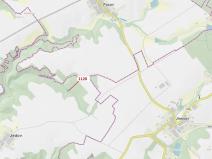 Dražba lesa, Náměšť nad Oslavou, 931 m2