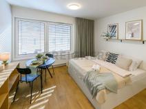 Pronájem bytu 1+kk, Brno, Cejl, 30 m2