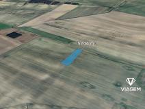 Prodej pole, Kostelní Hlavno, 5244 m2